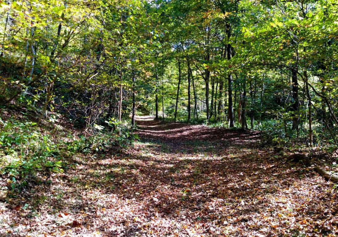 ホテル Altenbrauch Farm - Camping In The Hocking Hills Stella エクステリア 写真